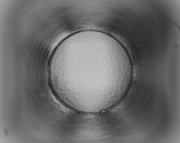 X0000103441048200809261749