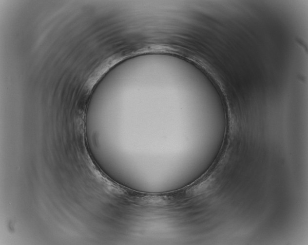 X0000103441049200809261749