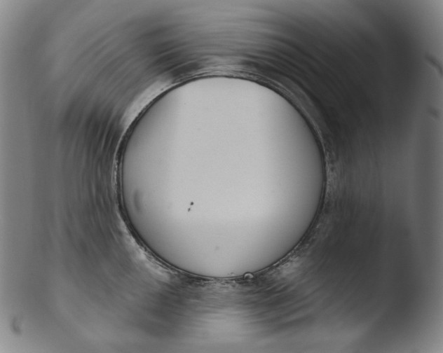 X0000103441050200809261749