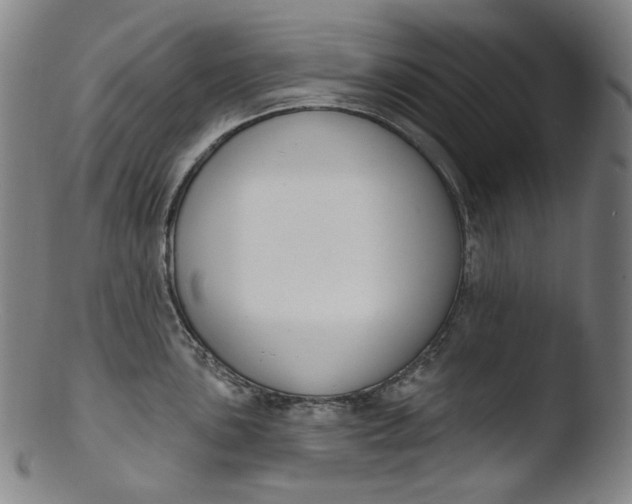 X0000103441051200809261750