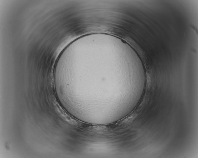 X0000103441052200809261750