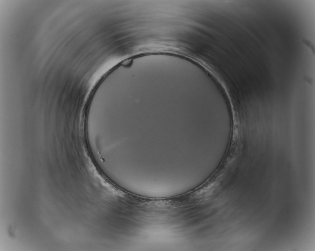 X0000103441053200809261750