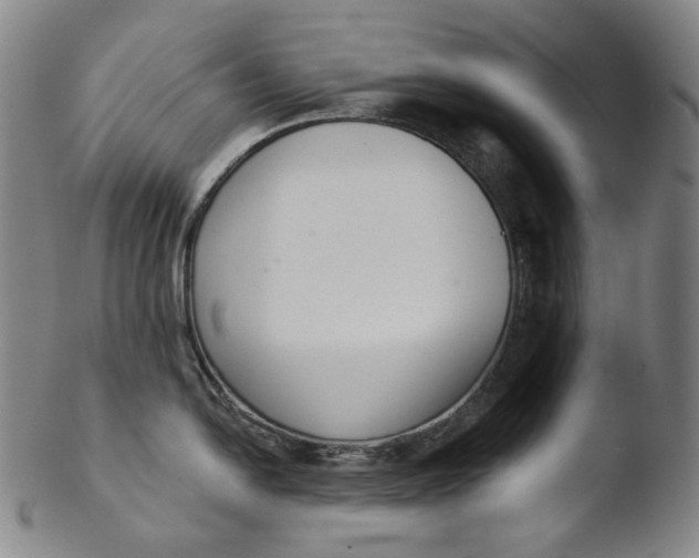 X0000103441054200809261750