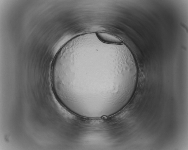 X0000103441055200809261750