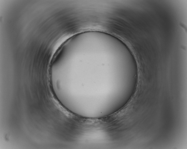 X0000103441056200809261750