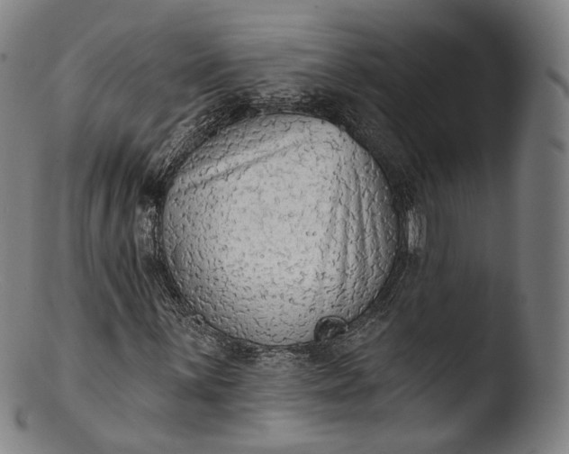 X0000103441059200809261749