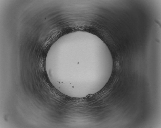 X0000103441060200809261749