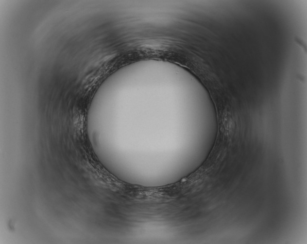 X0000103441061200809261749