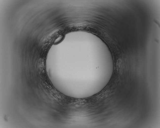X0000103441062200809261749