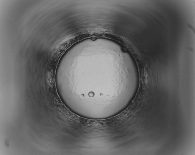 X0000103441063200809261749