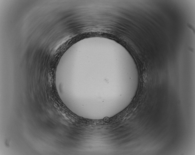 X0000103441064200809261749