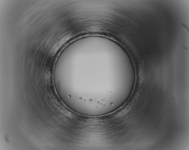 X0000103441065200809261749