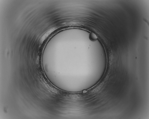 X0000103441066200809261749
