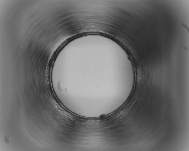 X0000103441068200809261749