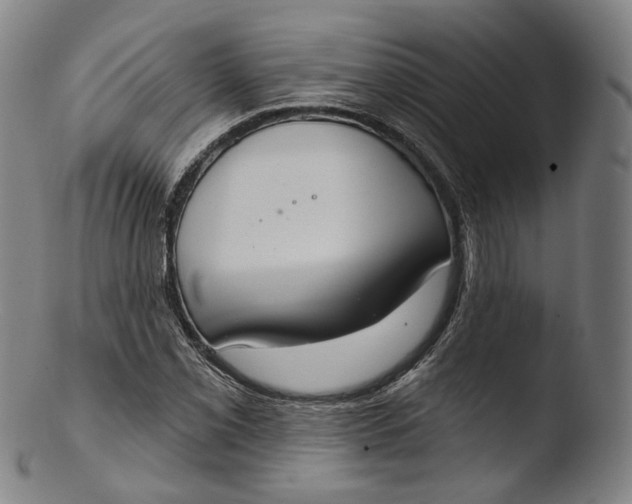 X0000103441069200809261749