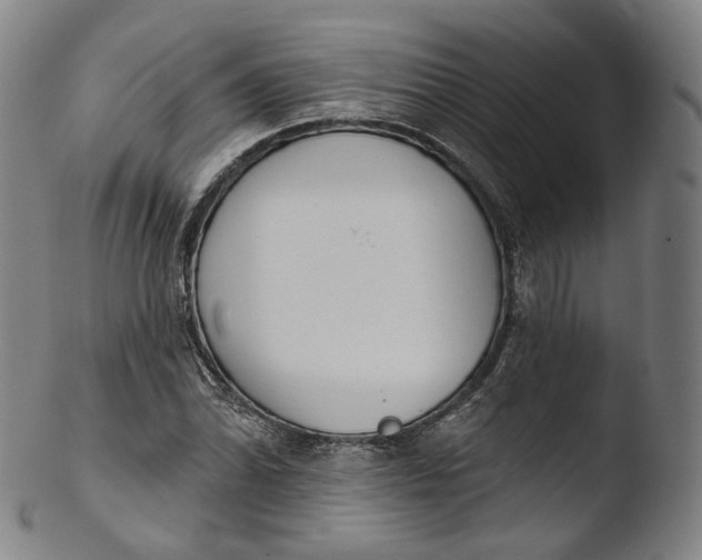 X0000103441070200809261749