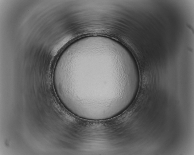 X0000103441071200809261749