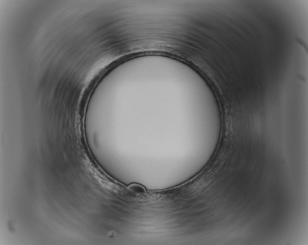 X0000103441072200809261749