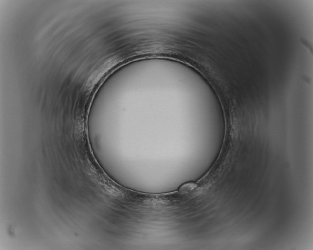 X0000103441073200809261749