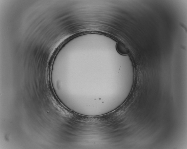 X0000103441076200809261749