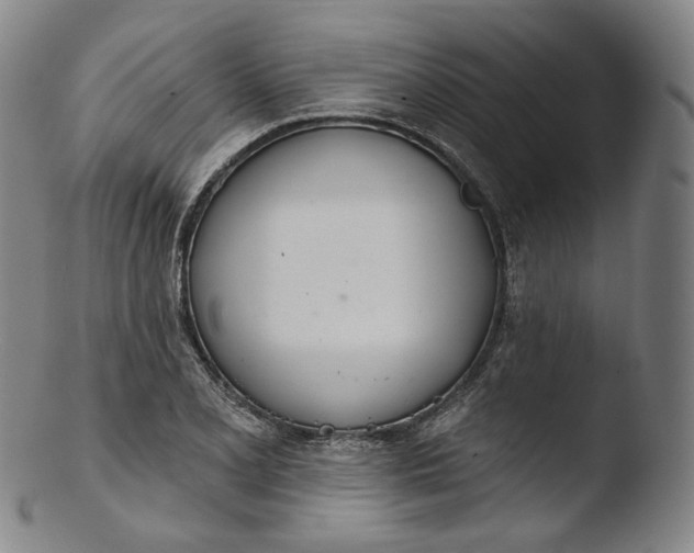 X0000103441077200809261749