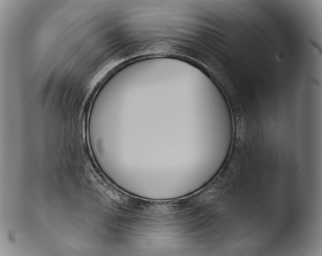 X0000103441078200809261749