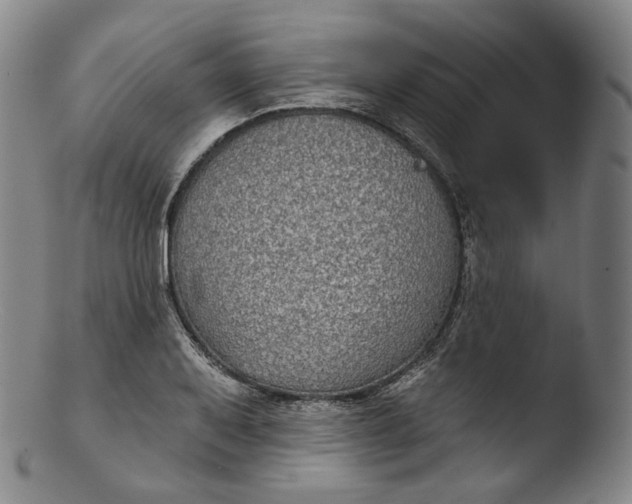 X0000103441079200809261749