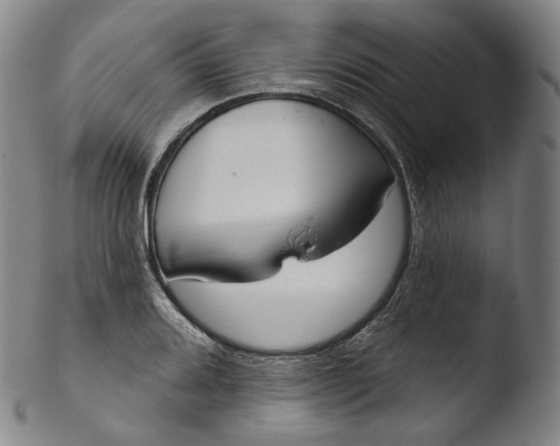 X0000103441080200809261749