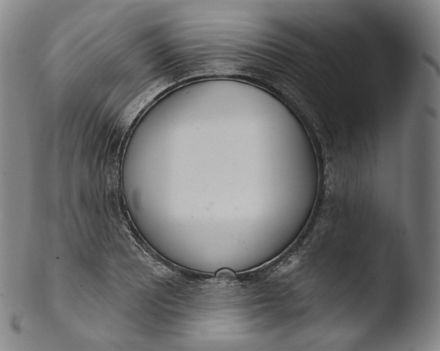 X0000103441081200809261749