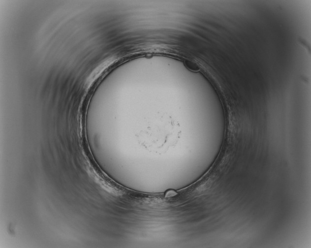 X0000103441082200809261749