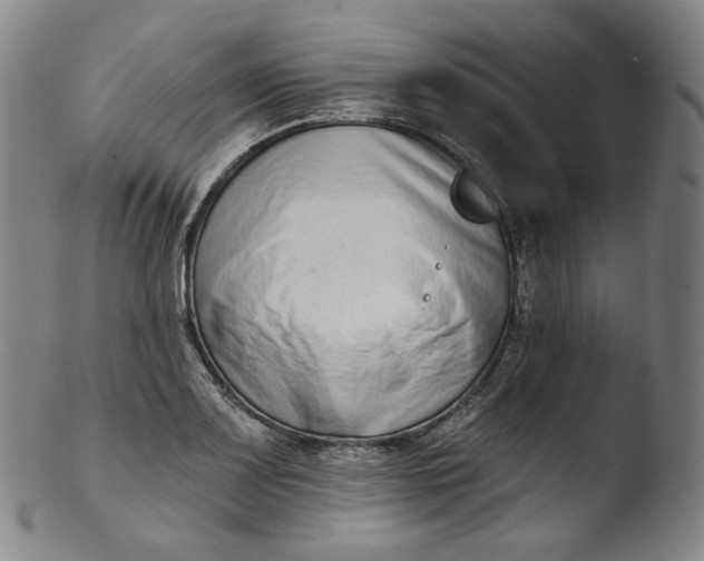 X0000103441083200809261749