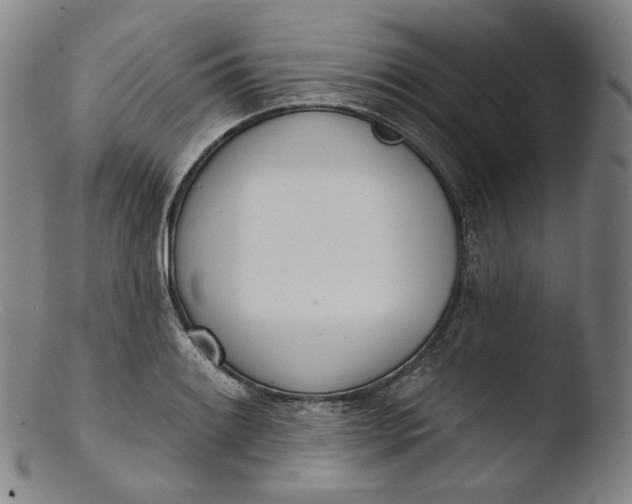 X0000103441084200809261749