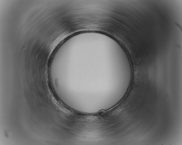 X0000103441085200809261749
