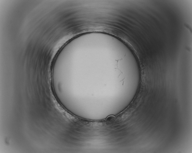 X0000103441088200809261748