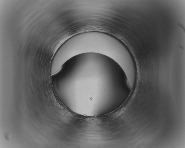 X0000103441089200809261748