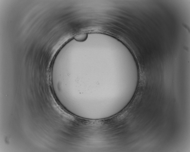 X0000103441090200809261748