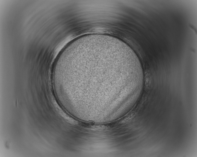 X0000103441091200809261748