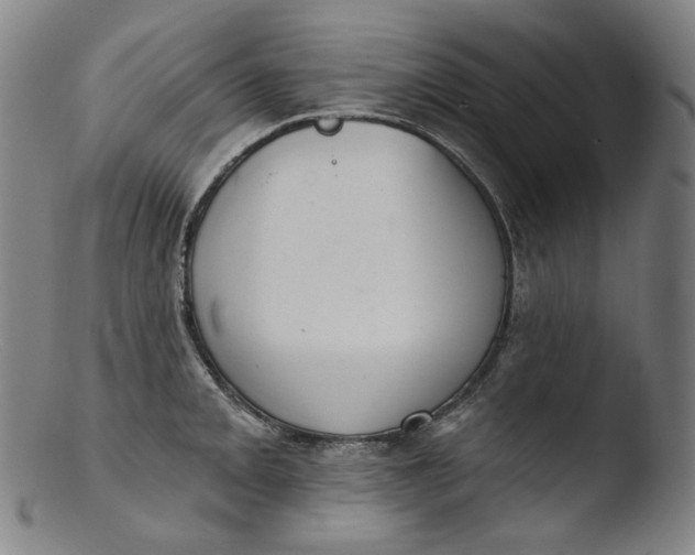 X0000103441093200809261748