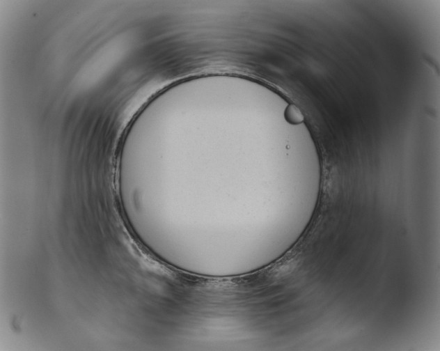 X0000103441094200809261748