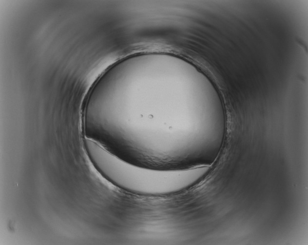 X0000103441095200809261748