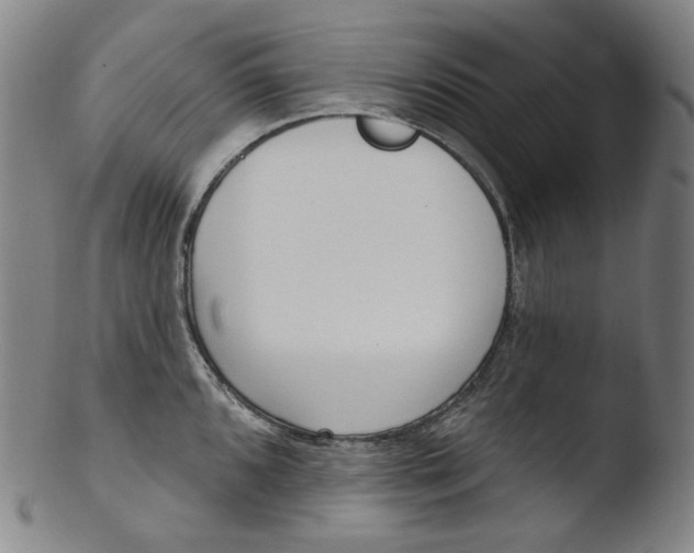 X0000103441096200809261748