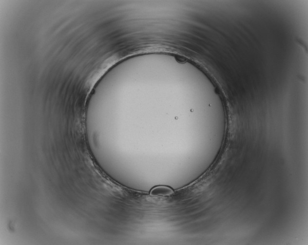X0000103441097200809261748