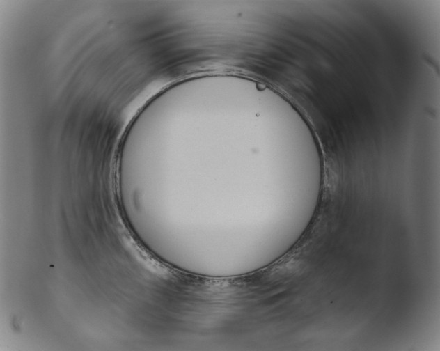X0000103441098200809261748