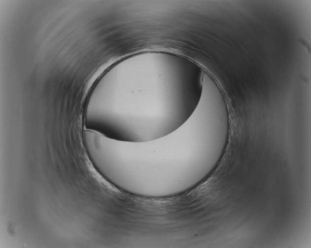 X0000103441100200809261748