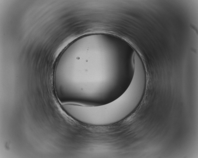 X0000103441101200809261748