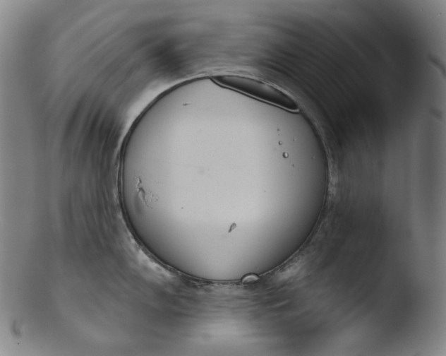 X0000103441102200809261748