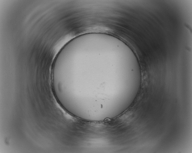 X0000103441103200809261748