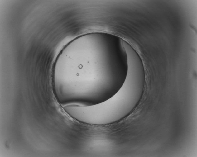 X0000103441104200809261748