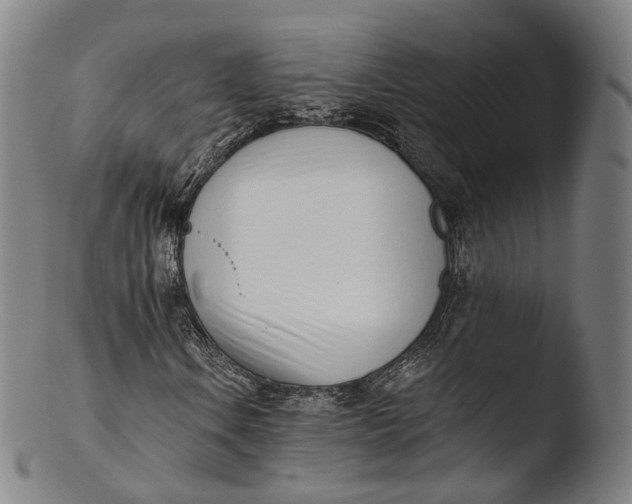 X0000103441106200809261748