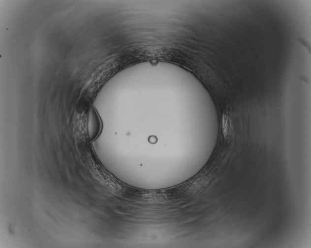X0000103441107200809261748